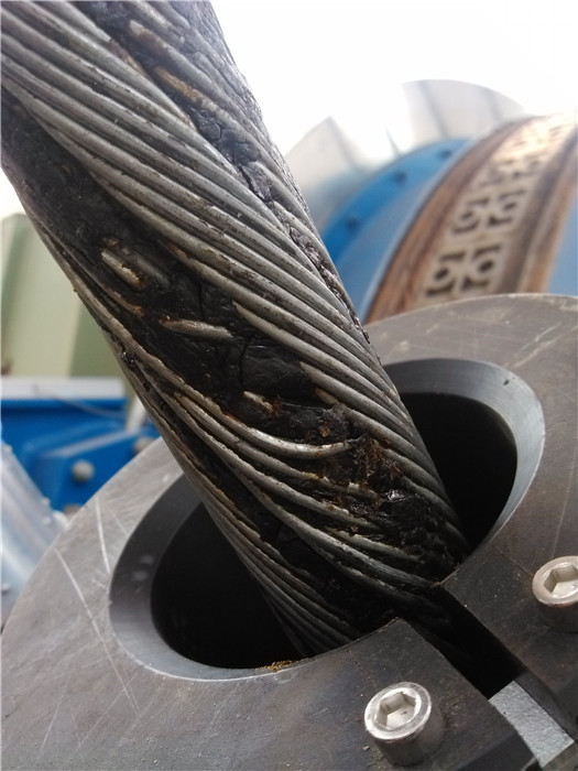 猫咪网站在线成人免费看无损检测