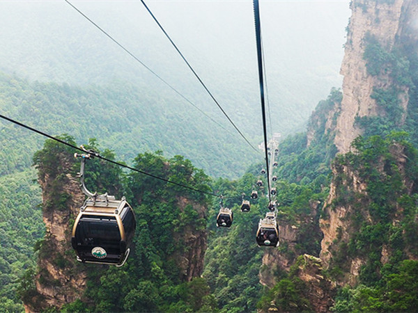 索道猫咪网站在线成人免费看