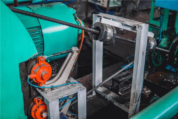 猫咪色情软件下载