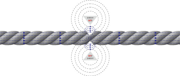 猫咪网站在线成人免费看探伤