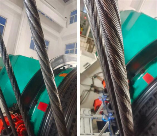 猫咪网站在线成人免费看探伤