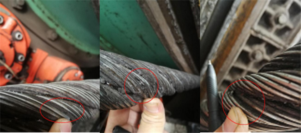 猫咪网站在线成人免费看损伤