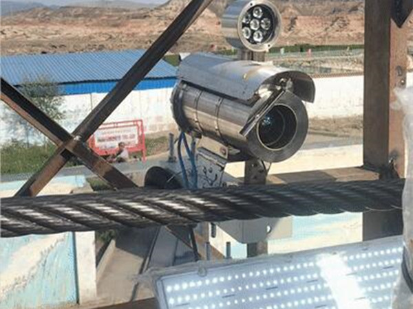 猫咪网站在线成人免费看 猫咪网站在线成人免费看