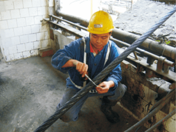 猫咪网站在线成人免费看